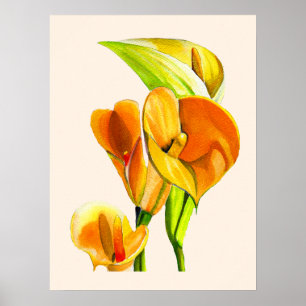 Calla lelie bloesem waterverf floraal poster