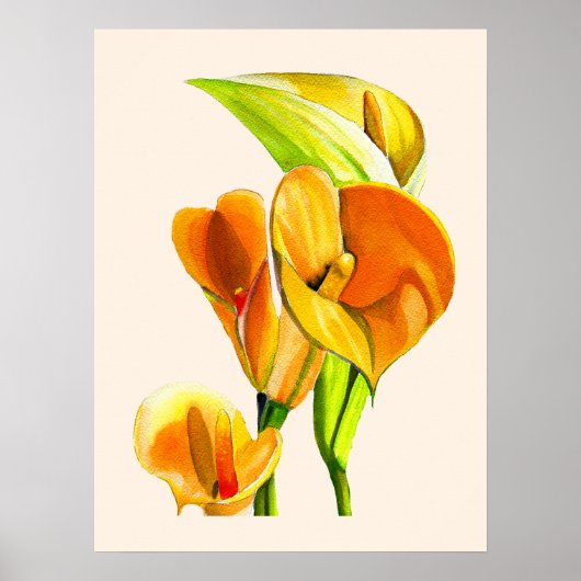Calla lelie bloesem waterverf floraal poster (Voorkant)