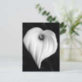 Calla Lelie in Zwart-wit Briefkaart (Staand voorkant)