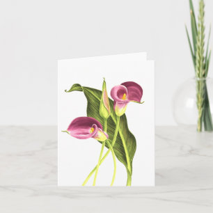 Calla Lelie Kaart