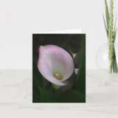 Calla Lelie Kaart (Voorkant)