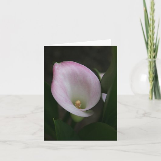 Calla Lelie Kaart (Voorkant)