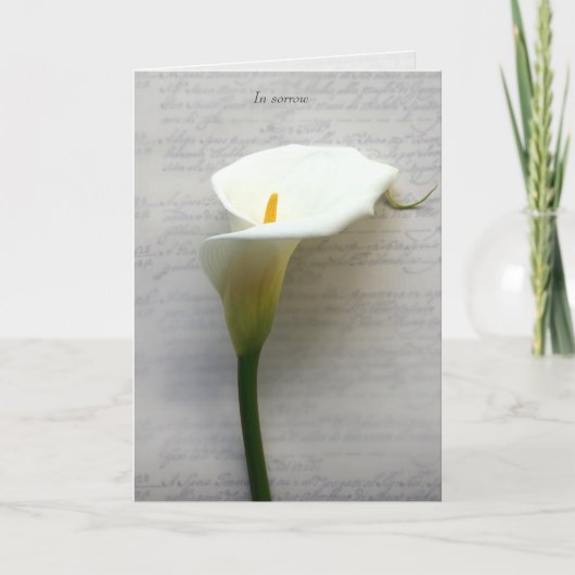 Calla lelie op oude handschrift sympathie feestdagen kaart (Voorkant)