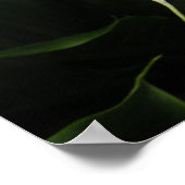 Calla lelie poster (Hoek)