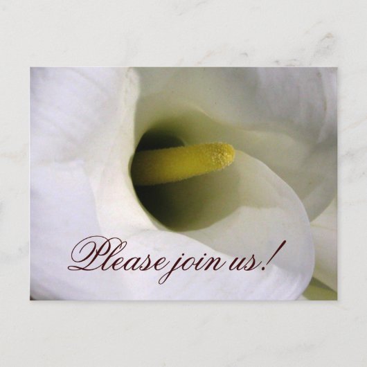 Calla lelie uitnodiging briefkaart (Voorkant)