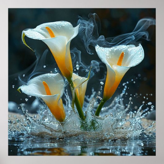 🌿 Calla lelie waterspat elegant natuur decor Poster (Voorkant)