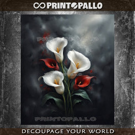 Calla lelies bloemen compositie #2 op zwart tissuepapier