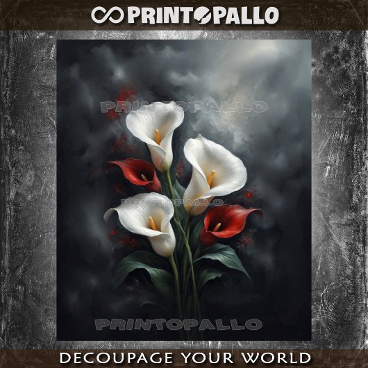 Calla lelies bloemen compositie #2 op zwart tissuepapier