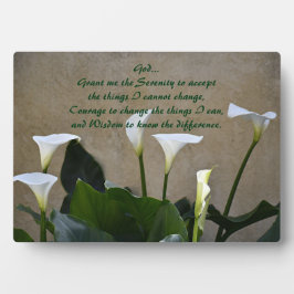 Calla lelies Inspirerend sereniteitsgebed Fotoplaat