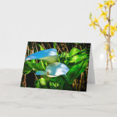 Calla Lelies Note Kaart (Gele Bloem)