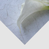 Calla-leugens op decoratieve achtergrond tissuepapier (Detail)