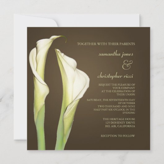 Calla leugens over uitnodigingen voor het koffiehu (Achterkant)