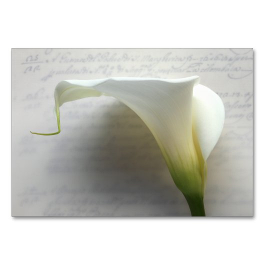 Calla lib op handschrift kaart (Achterkant)
