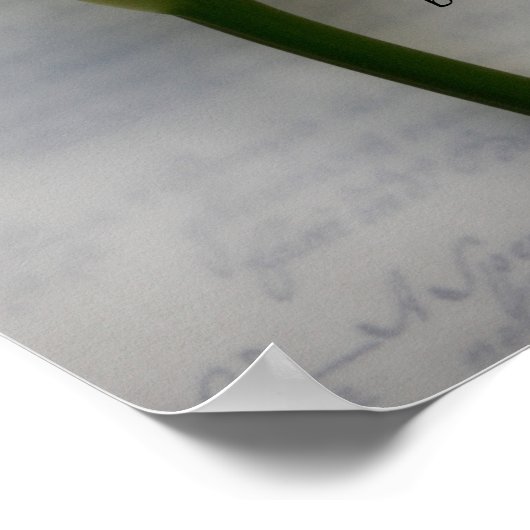 Calla lib op handschrift poster (Hoek)