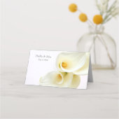 Calla liegt boven de kop plaatskaartje (Achterkant)