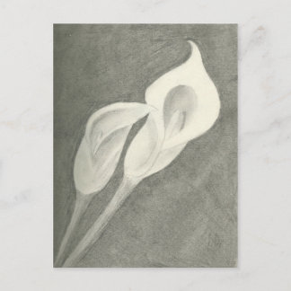 Calla Lilies Briefkaart
