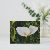 CALLA LILIES BRIEFKAART (Staand voorkant)