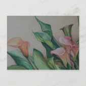 Calla Lilies Briefkaart (Voorkant)