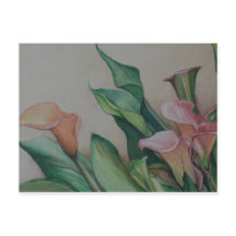 Calla Lilies Briefkaart