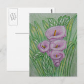Calla lilies briefkaart (Voorkant / Achterkant)