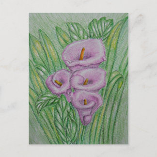 Calla lilies briefkaart
