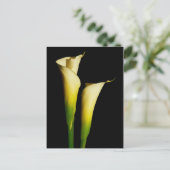 Calla Lilies Briefkaart (Staand voorkant)