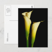 Calla Lilies Briefkaart (Voorkant / Achterkant)