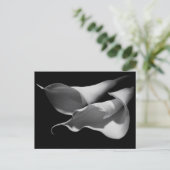 Calla Lilies Briefkaart (Staand voorkant)