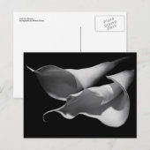 Calla Lilies Briefkaart (Voorkant / Achterkant)