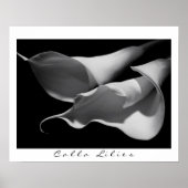 Calla Lilies in B&W Poster (Voorkant)