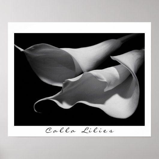 Calla Lilies in B&W Poster (Voorkant)