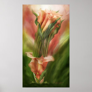 Calla Lilies in Calla Vase de Poster van de Kunst/