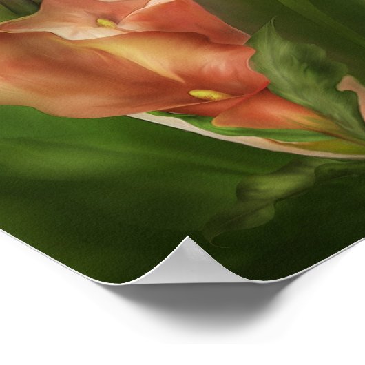 Calla Lilies in Calla Vase de Poster van de Kunst/ (Hoek)