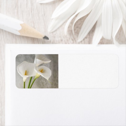 calla lilies labels (Insitu)