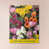 Calla Lilies of Amsterdam Legpuzzel