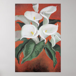 Calla Lilies op een rode achtergrond Poster