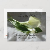 Calla Lilies op Witte kant sparen de Datum Aankondigingskaart (Voorkant / Achterkant)