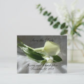Calla Lilies op Witte kant sparen de Datum Aankondigingskaart (Staand voorkant)