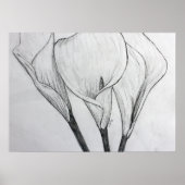 Calla Lilies Pencil Schets Tekening Kunst Afdrukke Poster (Voorkant)