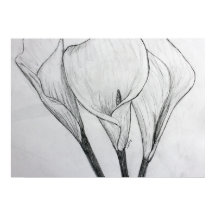 Calla Lilies Pencil Schets Tekening Kunst Afdrukke