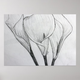 Calla Lilies Pencil Schets Tekening Kunst Afdrukke Poster