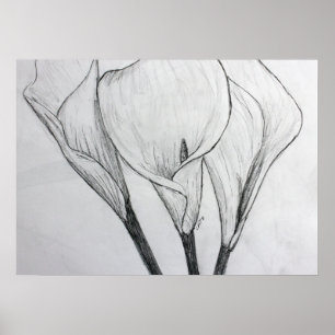 Calla Lilies Pencil Schets Tekening Kunst Afdrukke Poster