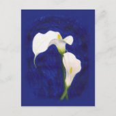 calla lilies post card briefkaart (Voorkant)