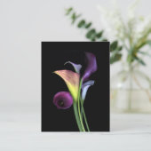 Calla Lilies Postcards Briefkaart