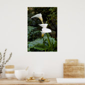 Calla Lilies Poster (Keuken)