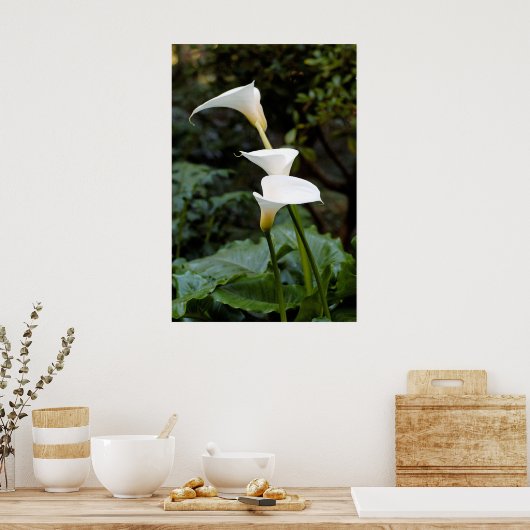 Calla Lilies Poster (Keuken)