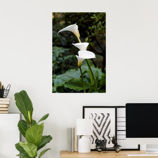 Calla Lilies Poster (Thuiskantoor)