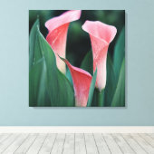 Calla Lilies roze bloemen Canvas Afdruk (Insitu (Houten vloer))