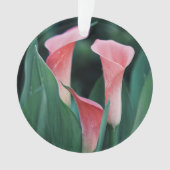 Calla Lilies roze bloemen Ornament (voorkant)