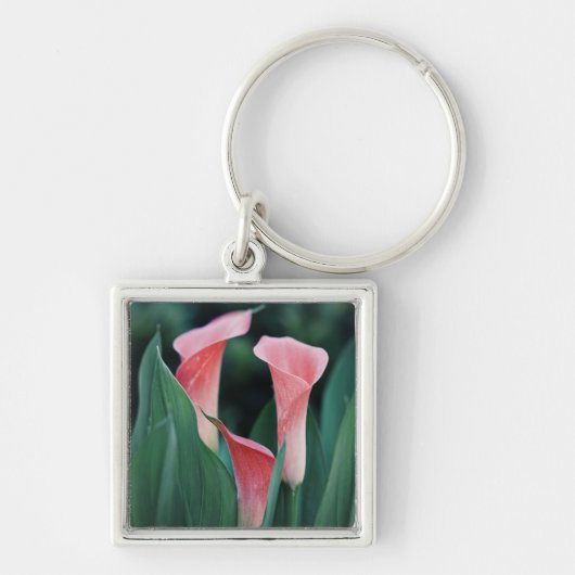 Calla Lilies roze bloemen Sleutelhanger (Voorkant)